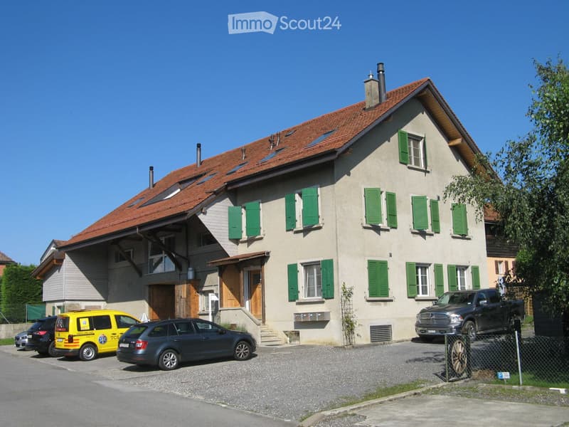 Duplex avec cachet, très lumineux, belle vue, calme, jardin (10)