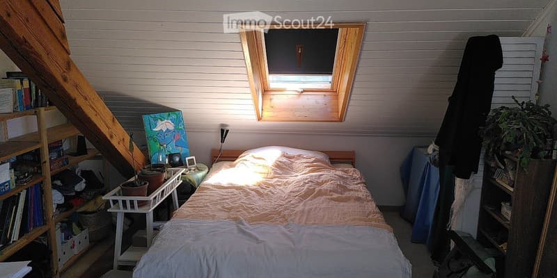 Duplex avec cachet, très lumineux, belle vue, calme, jardin (5)