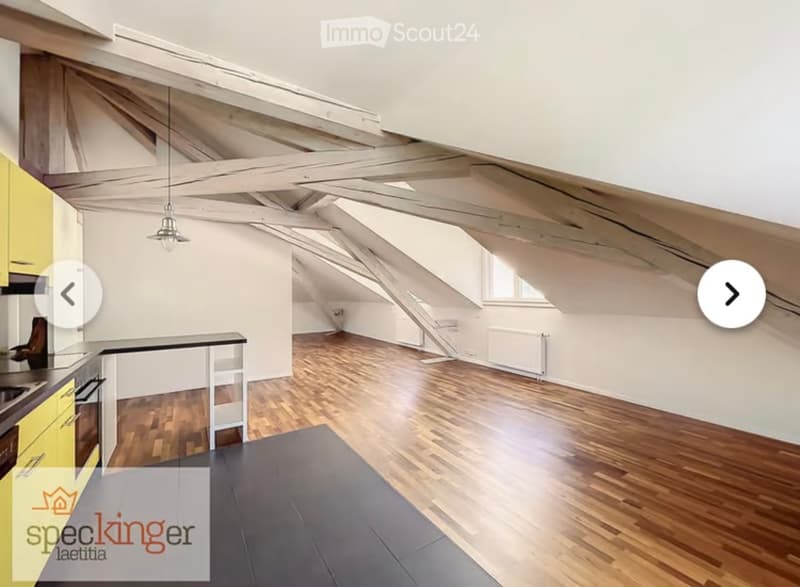 Loft rénové de 69 m² à Lausanne (3)