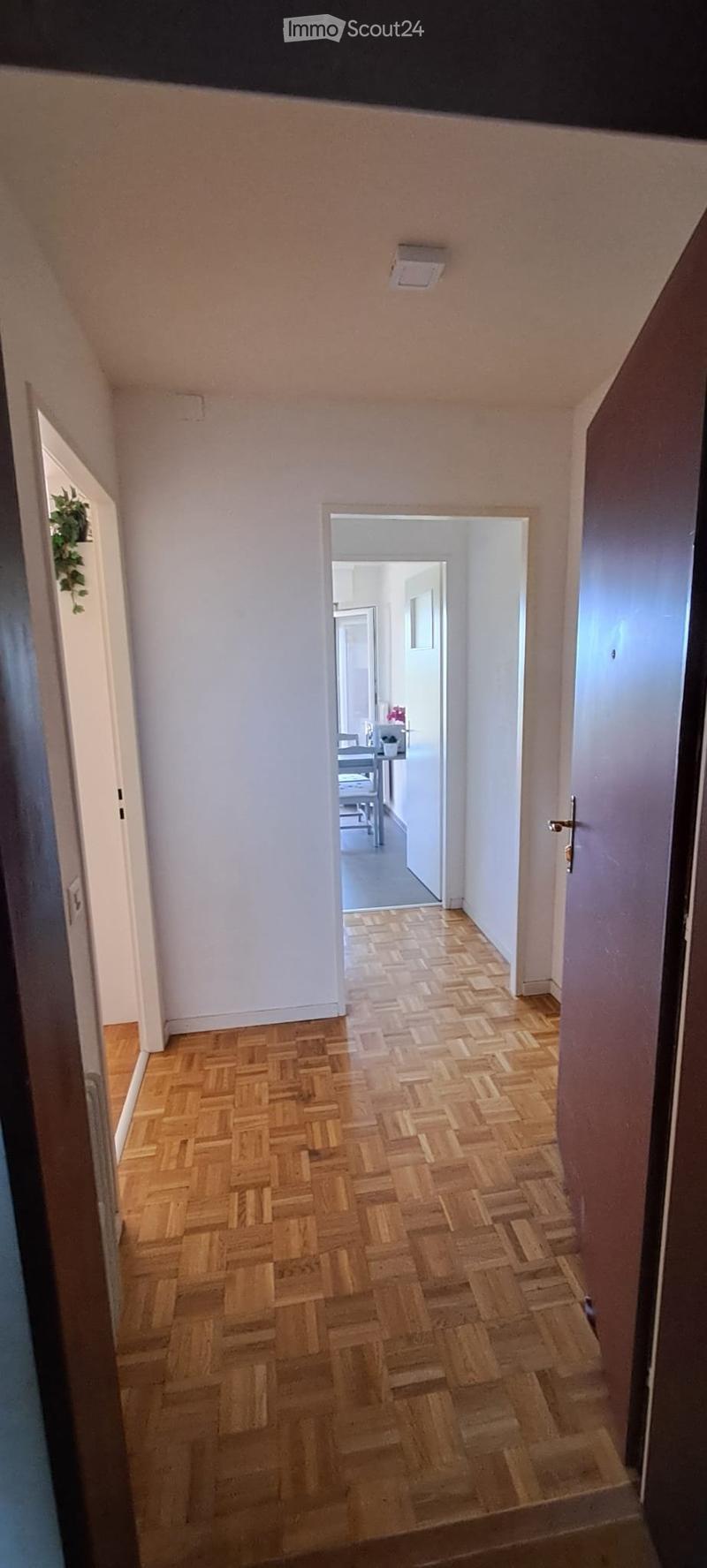 Appartement lumineux,vue montagnes,aperçu lac,dès Octobre (3)