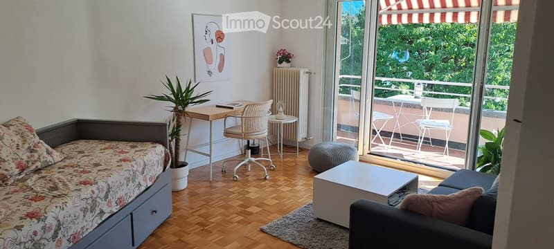 Appartement lumineux,vue montagnes,aperçu lac,dès Octobre (4)