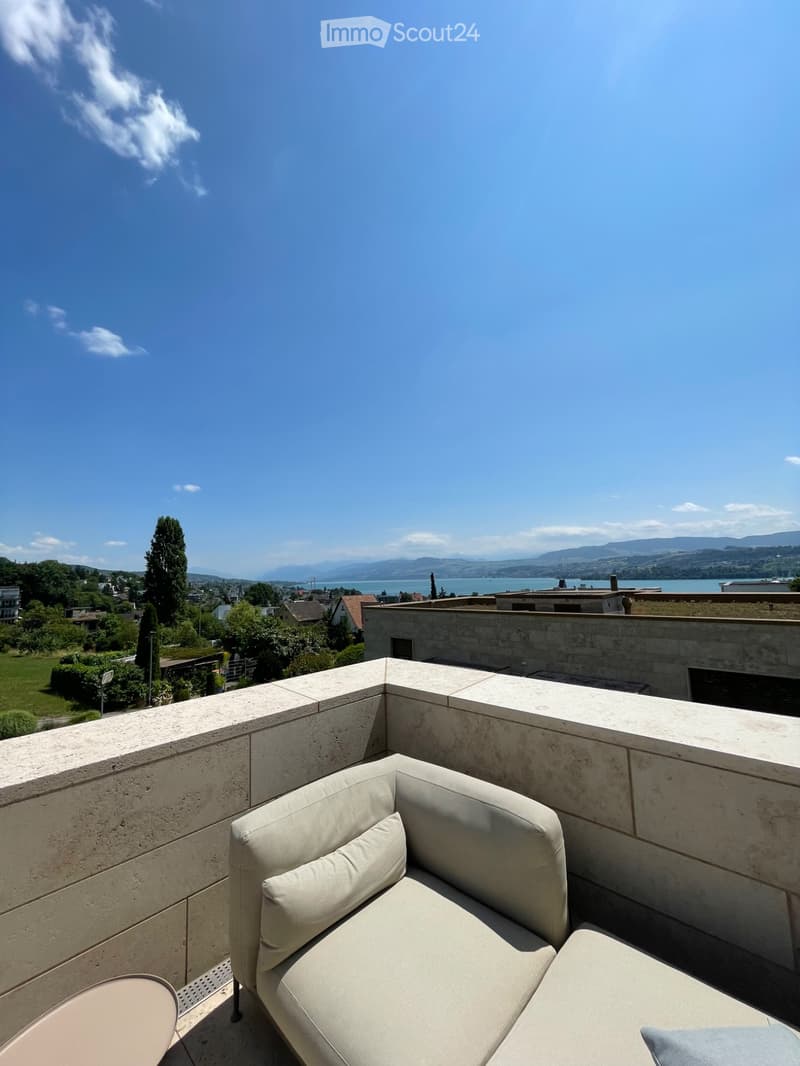 Stunning Lakeview Apartment 3.5 Rooms (4)