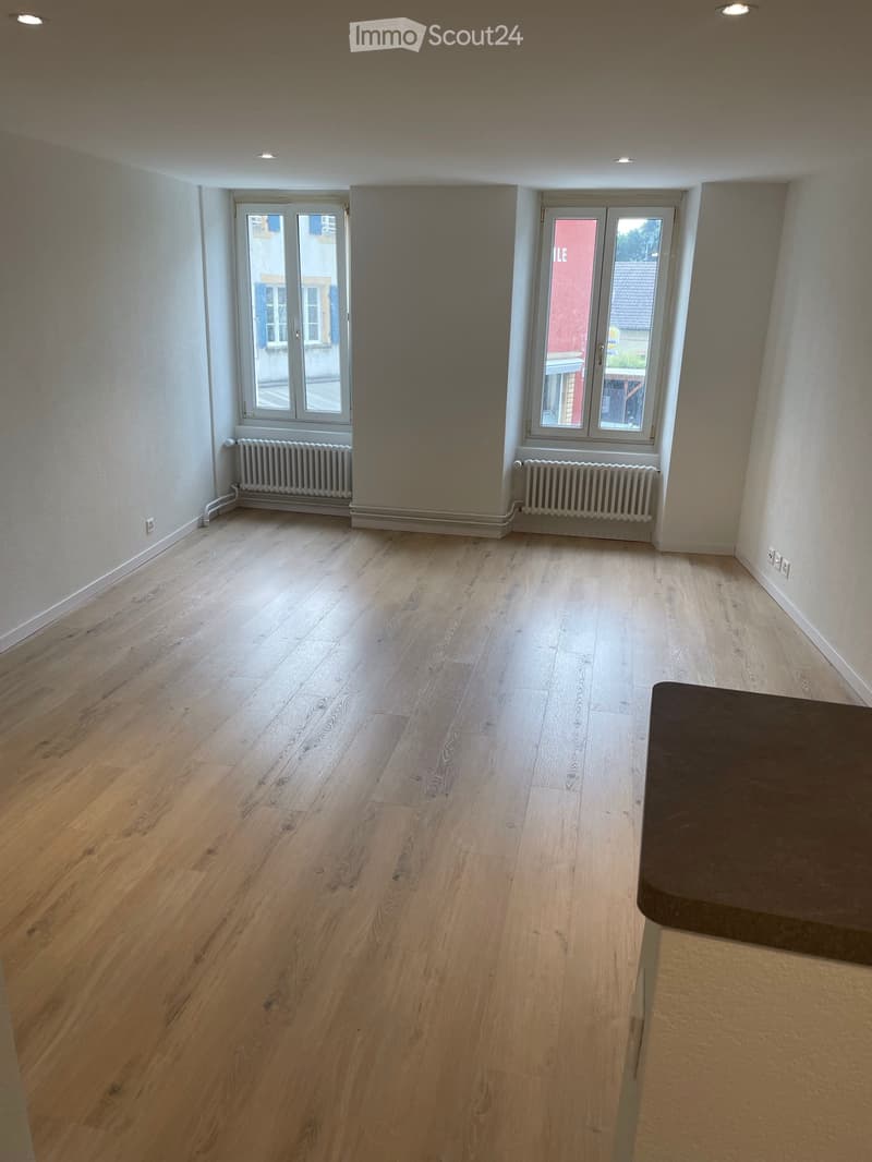 Appartement 1,5 pièces à louer à Colombier (1)