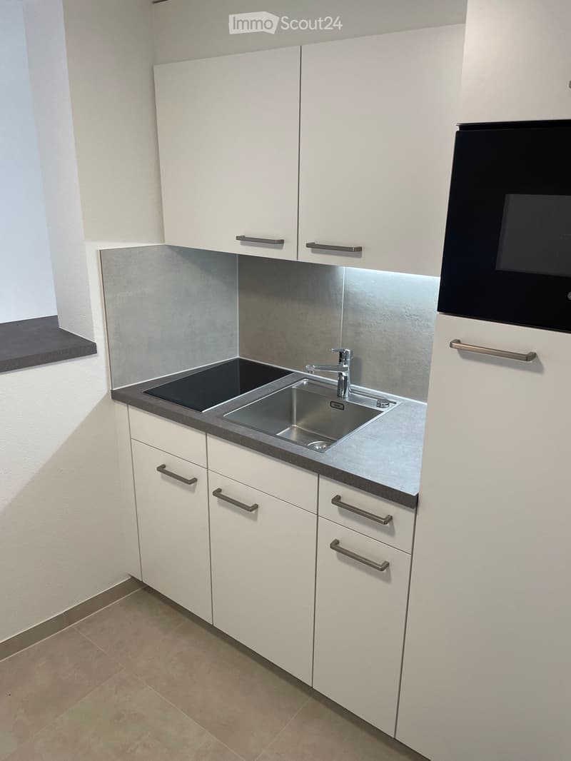 Appartement 1,5 pièces à louer à Colombier (2)
