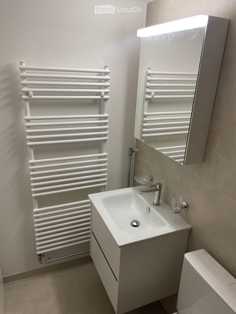 Appartement 1,5 pièces à louer à Colombier (3)