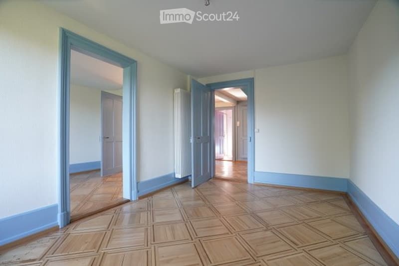 Charmante Duplex-Dachwohnung mit Gartenanteil (auch für WG) (5)