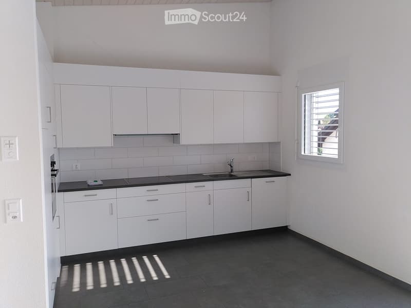 Appartement 3,5 pièces lumineux et récent (3)