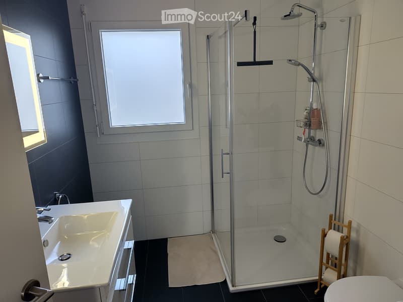 Appartement 3,5 pièces lumineux et récent (3)