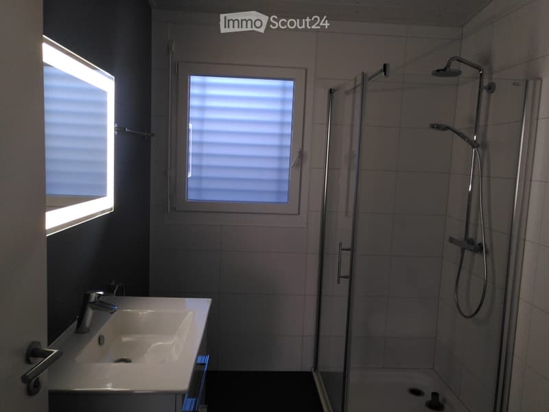 Appartement 3,5 pièces lumineux et récent (5)