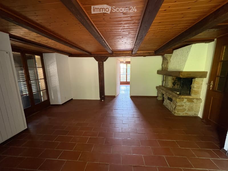 Magnifique appartement en duplex de 4,5 pièces (6)