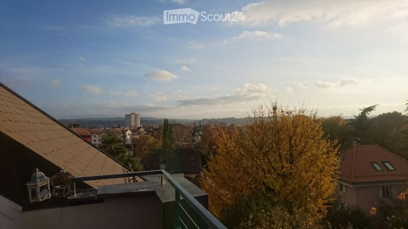 Magnifique 3.5 pièces au centre d'Yverdon-les-Bains (5)