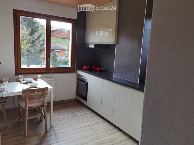 Appartement meublé de 2.5p., bas du village à Leysin (4)