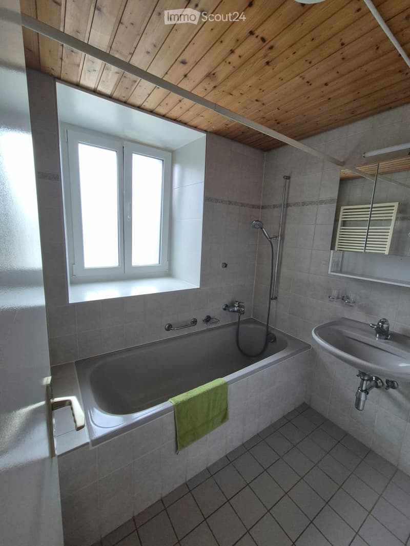 Appartement avec terrasse au bord du lac de Bret à Puidoux (3)