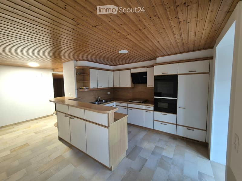 Appartement avec terrasse au bord du lac de Bret à Puidoux (1)