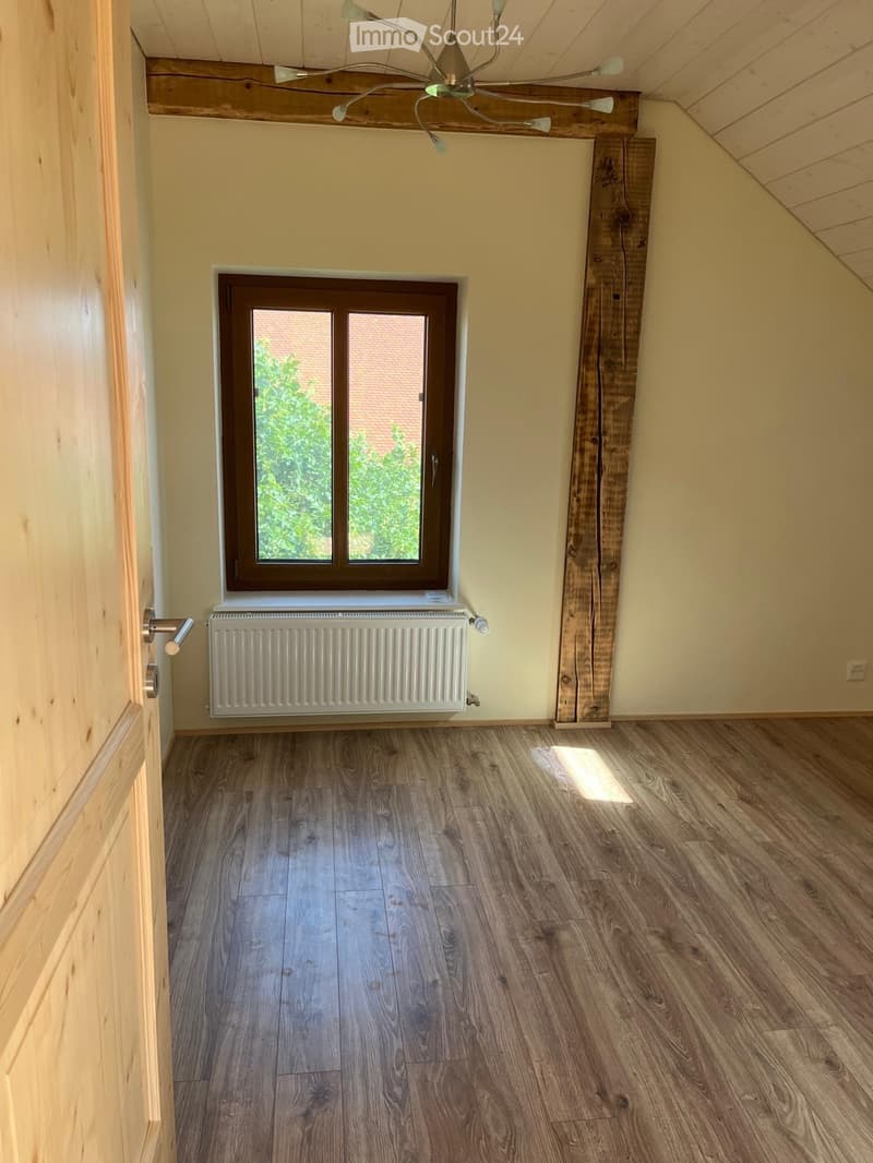 URGENT : reprise de bail - Appartement avec grande terrasse (3)
