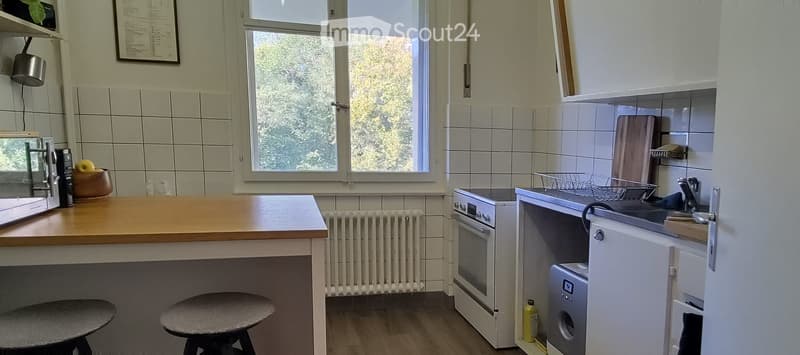 Superbe appartement traversant proche du M2 (CHUV) (4)