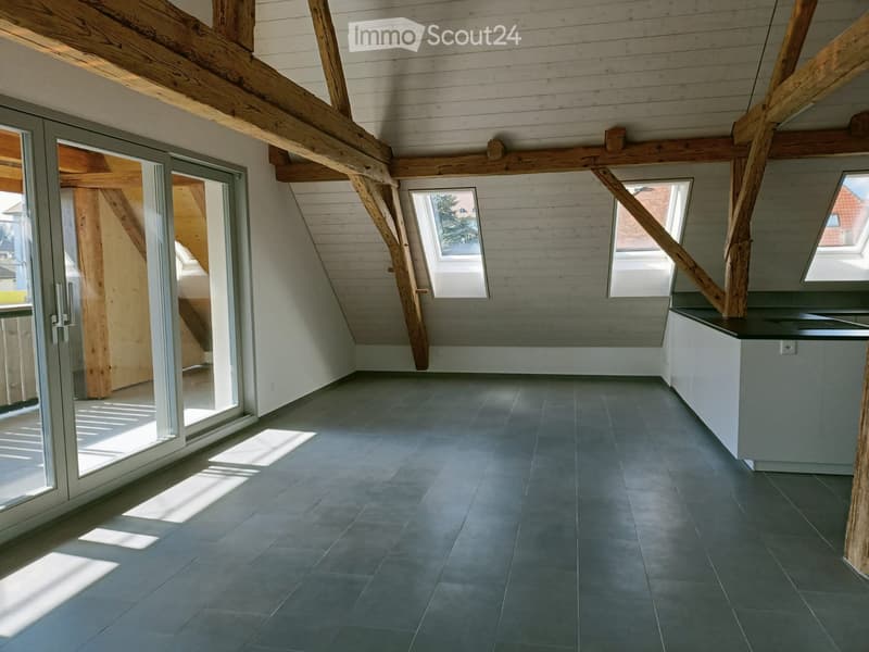 Grand appartement de 4.5 pièces de 135m2 construit en 2022 (1)