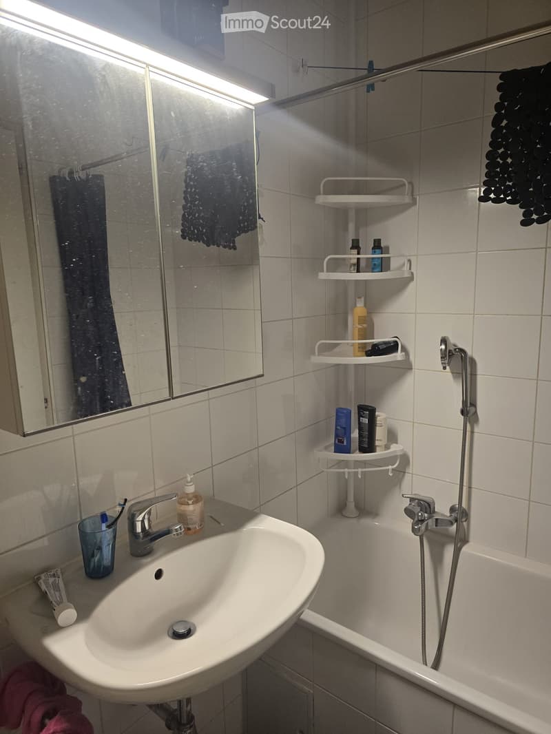 Studio lumineux de 27 m² au centre de Genève (4)