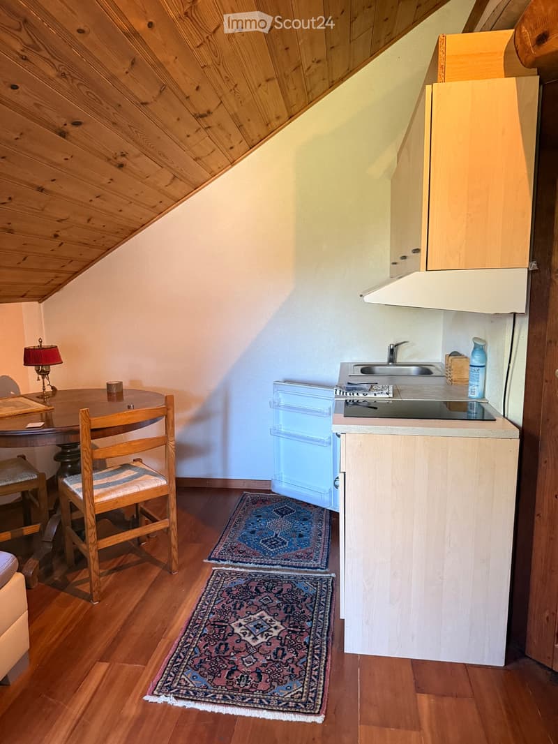 Location studio Forel lavaux (2)