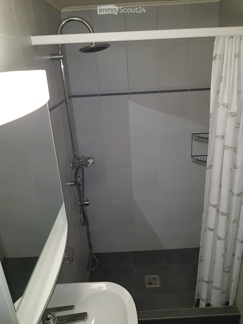 Appartement de 4 pièces (5)