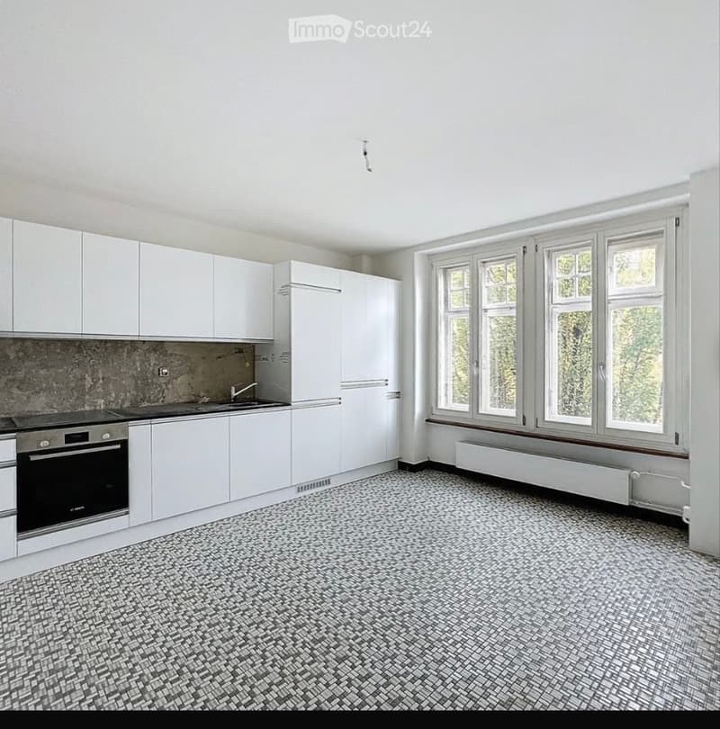 Bel appartement avec cuisine neuve et balcon (1)