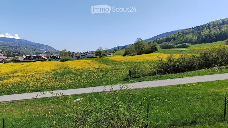 Coloc queer friendly à Vallorbe - 100m² et calme (1)
