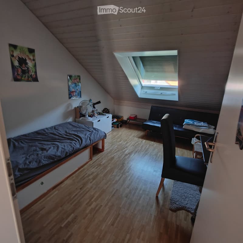 Grand appartement de 3 pièces et demi (5)