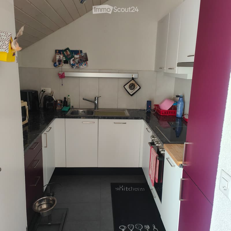 Grand appartement de 3 pièces et demi (2)