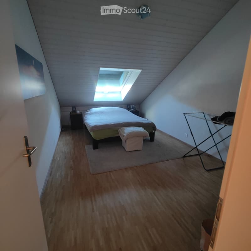 Grand appartement de 3 pièces et demi (4)