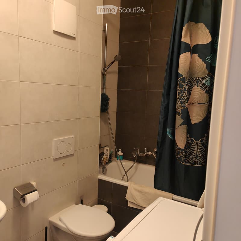 Grand appartement de 3 pièces et demi (3)