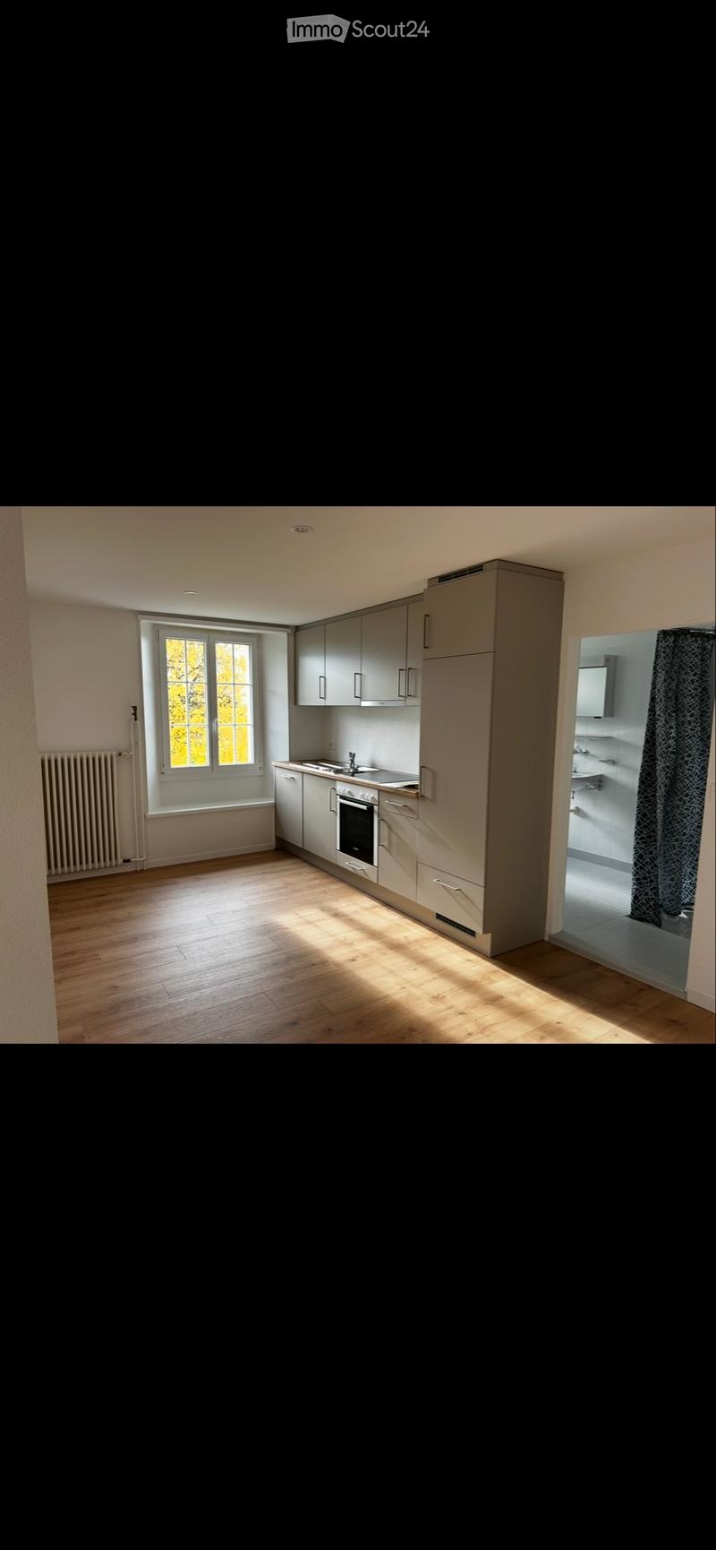 Appartement 2,5pce (2)