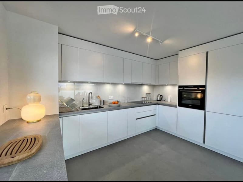 Grande chambre en collocation - Lausanne (1)