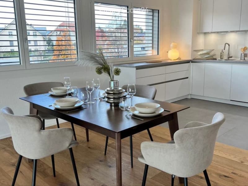 Grande chambre en collocation - Lausanne (2)