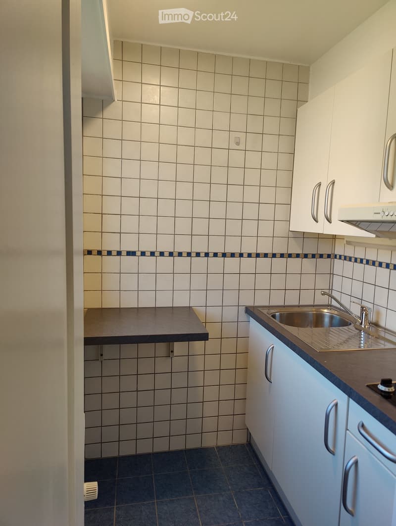Studio 27m² au dernier étage  Clarens (3)