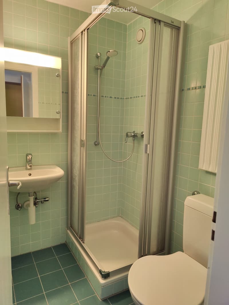 Studio 27m² au dernier étage  Clarens (2)