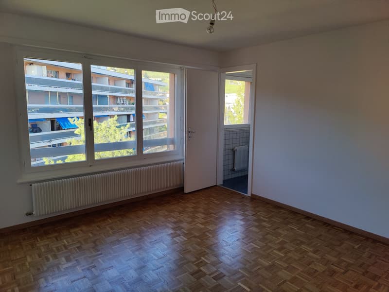 Studio 27m² au dernier étage  Clarens (5)