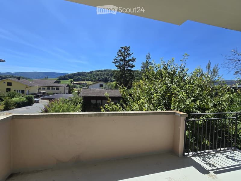 Très joli appartement 4.5 pces rénové (5)