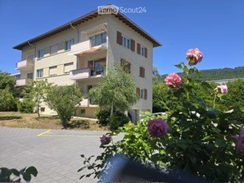 Très joli appartement 4.5 pces rénové (1)
