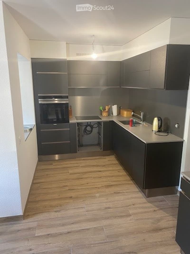 A louer Magnifique Appart 4,5 pces climatisé 110 m2 garage (1)
