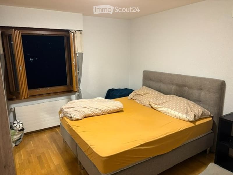 A louer Magnifique Appart 4,5 pces climatisé 110 m2 garage (5)