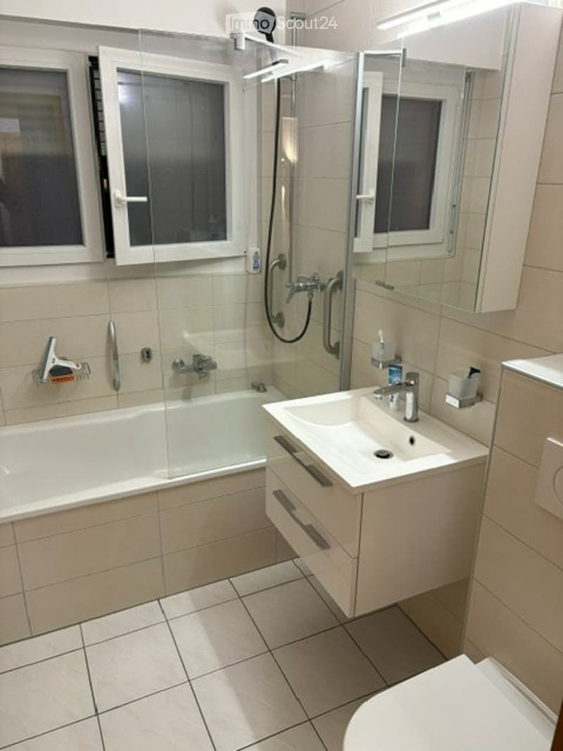 A louer Magnifique Appart 4,5 pces climatisé 110 m2 garage (3)