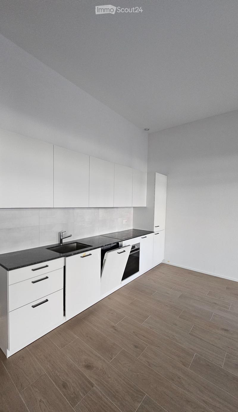 Appartement neuf de 3,5 pièces avec terrasse de 35 m² (2)