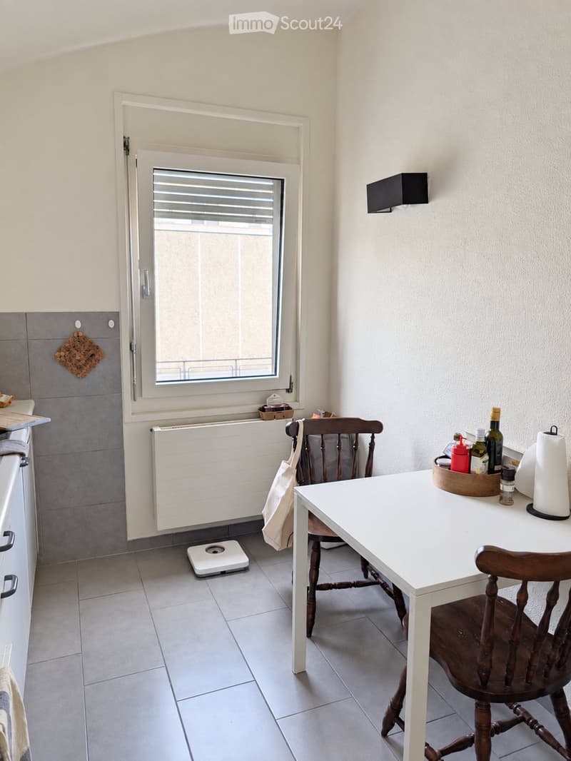 Appartement meublé au cur de Nyon courte durée (5)