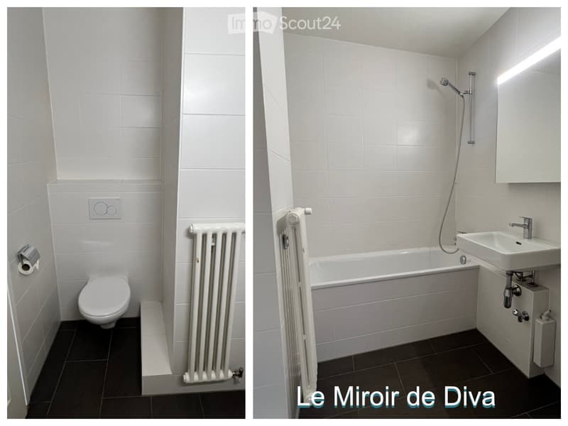 2 grandes chambres en colocation en face d'UniMail (4)