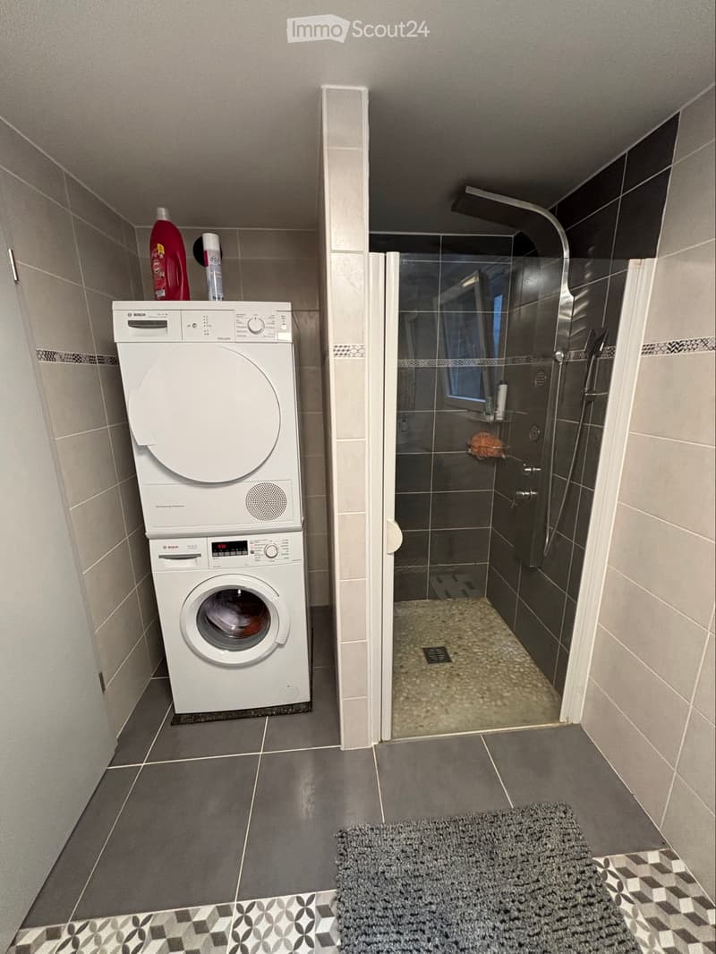 Appartement 2,5 pièces + place de parc (4)