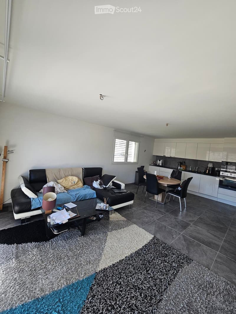 Charmant appartement récent de 3.5 pièces à Vionnaz (4)