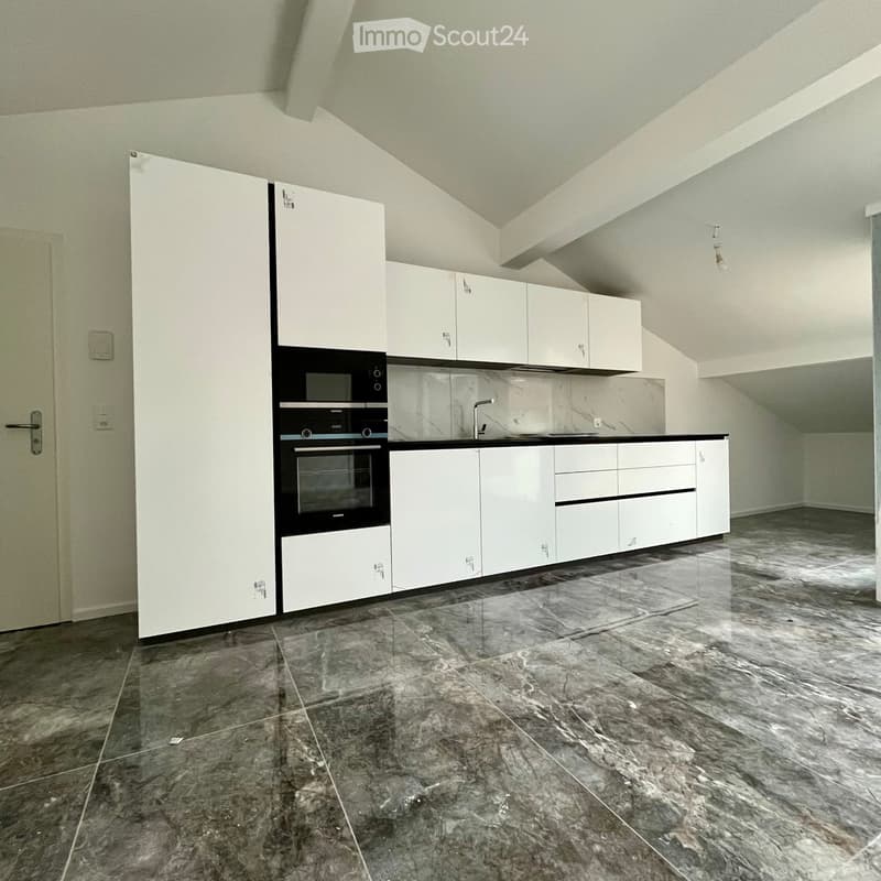 Appartement quasi neuf à louer (2)