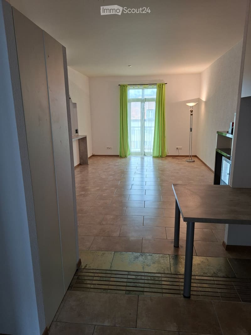 Appartement 3.5 pièces centré et original (4)