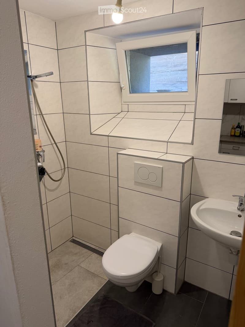 Appartement 1,5 pièces (5)