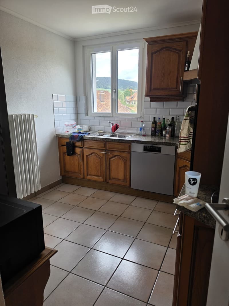 Magnifique appartement entièrement renové (3)